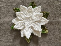 Flor de lotus passo a passo (79)