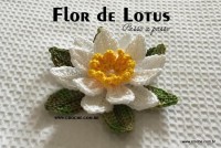 Flor de lótus