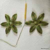 In&iacute;cio da emenda das bases verdes da flor de l&oacute;tus