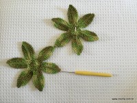 Trilho Flor de Lótus parte 1 (10)