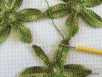 Trilho Flor de Lótus parte 1 (12)