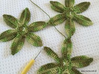 Trilho Flor de Lótus parte 1 (13)