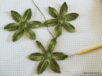 Trilho Flor de Lótus parte 1 (16)