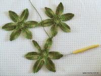 Trilho Flor de Lótus parte 1 (17)