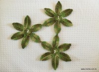 Trilho Flor de Lótus parte 1 (19)