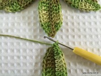 Trilho Flor de Lótus parte 1 (2)