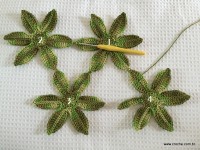 Trilho Flor de Lótus parte 1 (22)