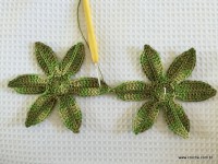 Trilho Flor de Lótus parte 1 (6)