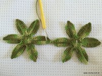 Trilho Flor de Lótus parte 1 (7)