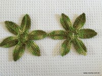 Trilho Flor de Lótus parte 1 (8)