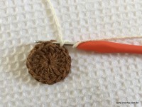 Trilho de mesa coruja (118)