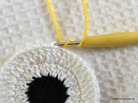 Trilho de mesa coruja (149)