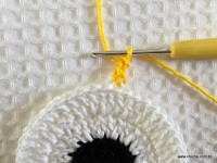 Trilho de mesa coruja (150)