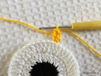 Trilho de mesa coruja (151)