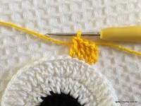 Trilho de mesa coruja (152)