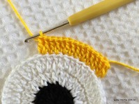 Trilho de mesa coruja (154)