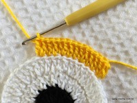 Trilho de mesa coruja (155)