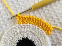 Trilho de mesa coruja (156)