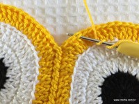 Trilho de mesa coruja (176)