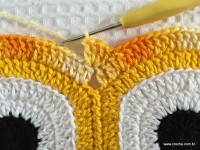 Trilho de mesa coruja (188)