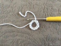 Trilho de mesa coruja (2)