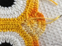 Trilho de mesa coruja (202)