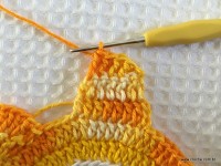 Trilho de mesa coruja (217)