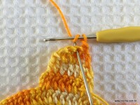 Trilho de mesa coruja (219)