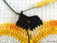 Trilho de mesa coruja (233)