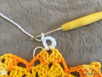 Trilho de mesa coruja (267)