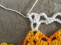 Trilho de mesa coruja (289)