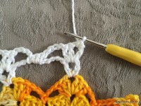 Trilho de mesa coruja (291)