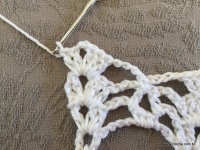 Trilho de mesa coruja (312)