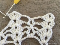 Trilho de mesa coruja (321)