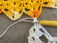 Trilho de mesa coruja (334)