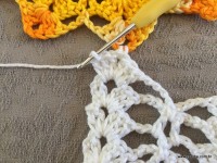 Trilho de mesa coruja (336)