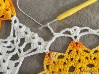 Trilho de mesa coruja (343)