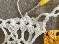 Trilho de mesa coruja (347)