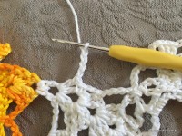 Trilho de mesa coruja (356)