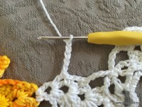 Trilho de mesa coruja (357)