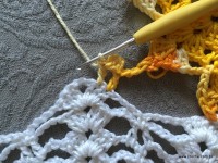 Trilho de mesa coruja (377)