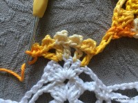 Trilho de mesa coruja (378)