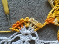 Trilho de mesa coruja (379)