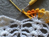 Trilho de mesa coruja (381)