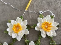 Transi&ccedil;&atilde;o flor