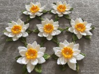 Vis&atilde;o conjunto flores