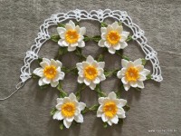 Vis&atilde;o crescimento