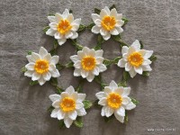 Trilho flor de lótus parte 2 (1)