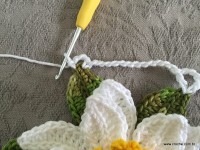 Trilho flor de lótus parte 2 (27)