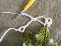 Trilho flor de lótus parte 2 (33)